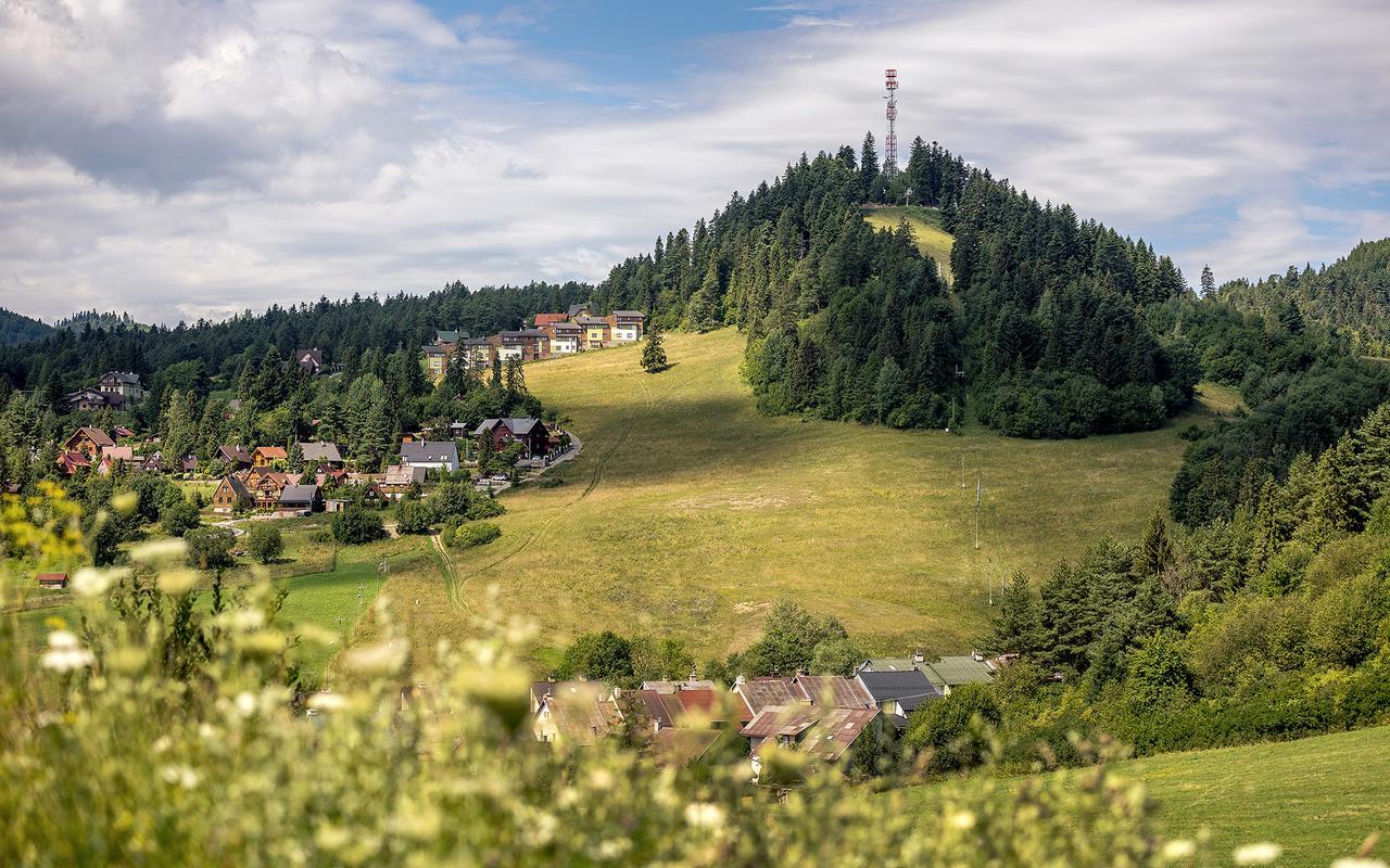 Penzion Sonja Vyšné Ružbachy 外观 照片