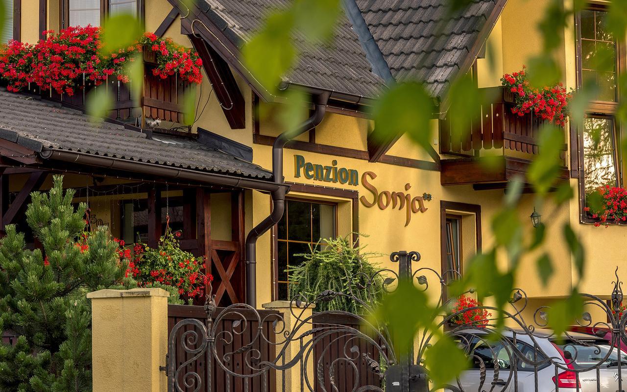Penzion Sonja Vyšné Ružbachy 外观 照片
